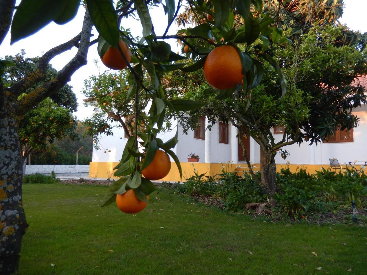 Bed and Breakfast Quinta Laranjal Da Arrabida Palmela Esterno foto