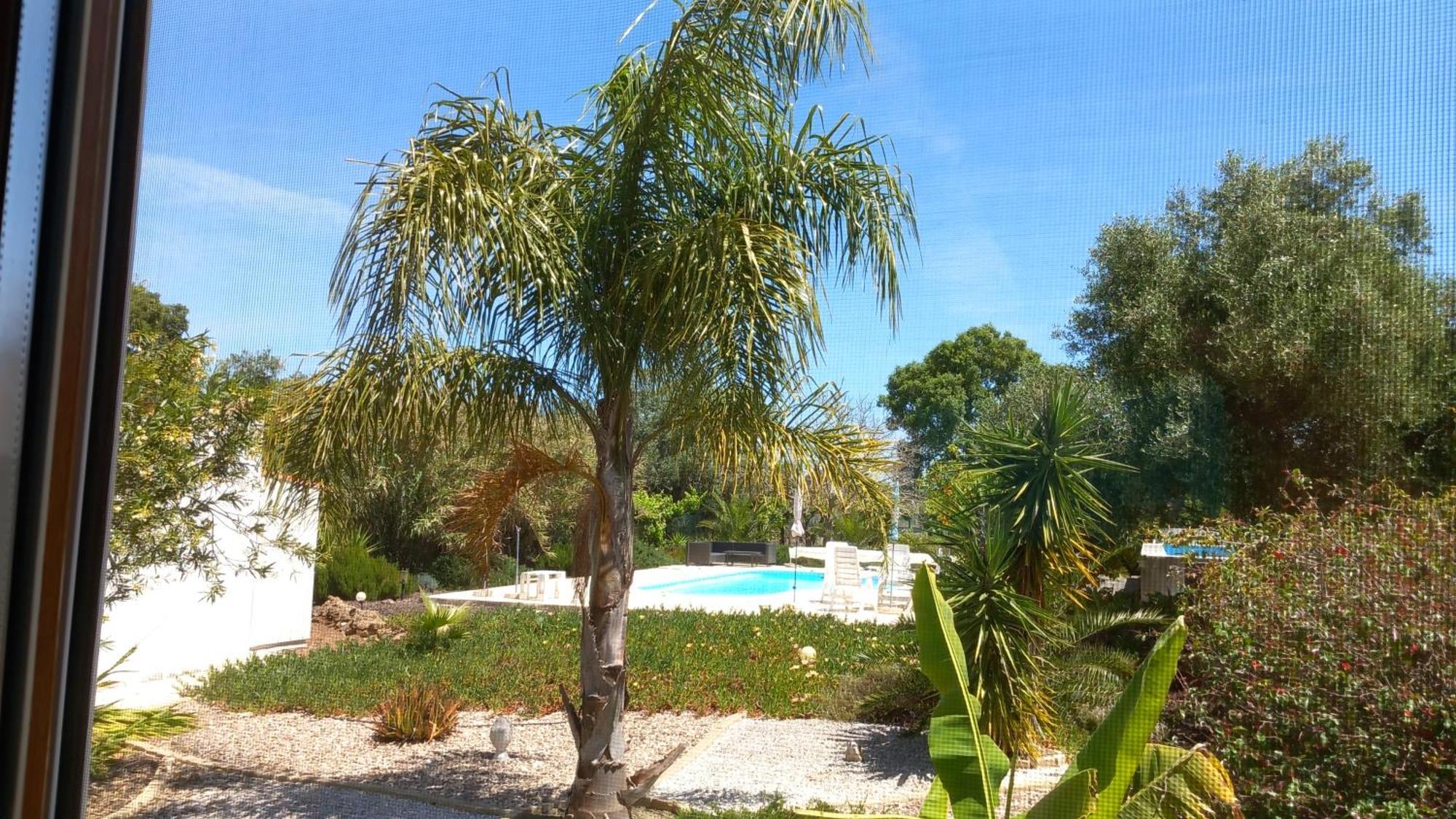 Bed and Breakfast Quinta Laranjal Da Arrabida Palmela Esterno foto